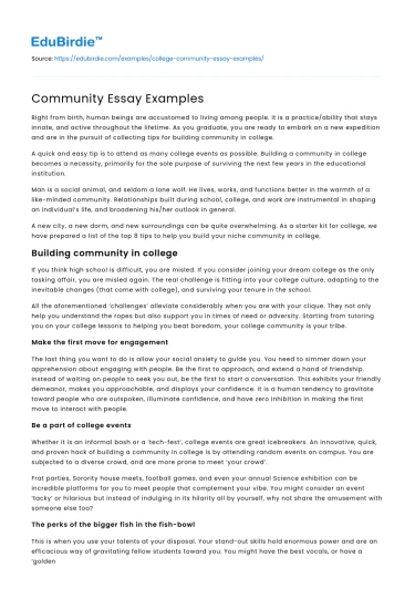 Community Essay Examples