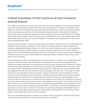 Critical Evaluation of the Functions of and Concerns around Prisons