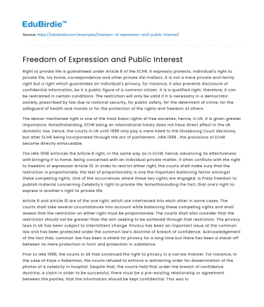 Freedom of Expression and Public Interest