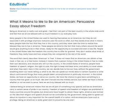 What It Means to Me to Be an American: Persuasive Essay about Freedom