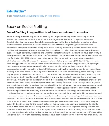 Analyzing the Impact of Racial Profiling in Society