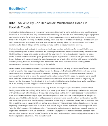 Into The Wild By Jon Krakauer: Wilderness Hero Or Foolish Youth