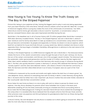 Truth and Perspectives in The Boy In the Striped Pajamas