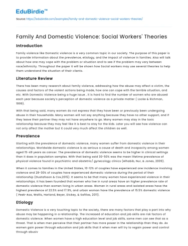 Family And Domestic Violence: Social Workers’ Theories