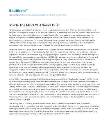 Inside The Mind Of A Serial Killer