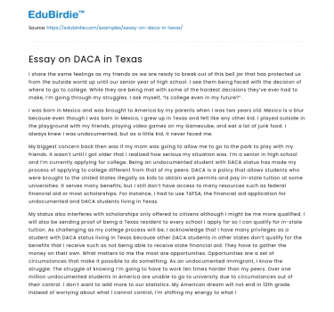 Essay on DACA in Texas
