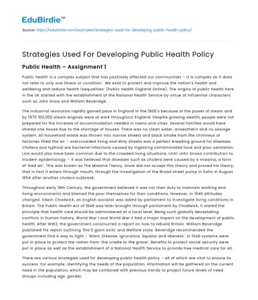 Strategies Used For Developing Public Health Policy