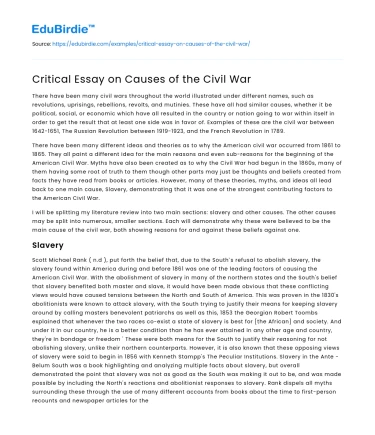 Critical Essay on Causes of the Civil War