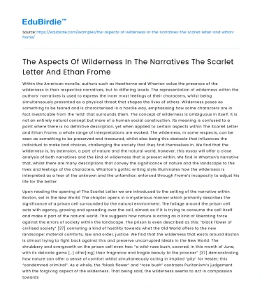 Wilderness in The Scarlet Letter & Ethan Frome
