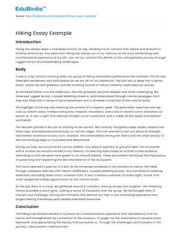 Hiking Essay Example