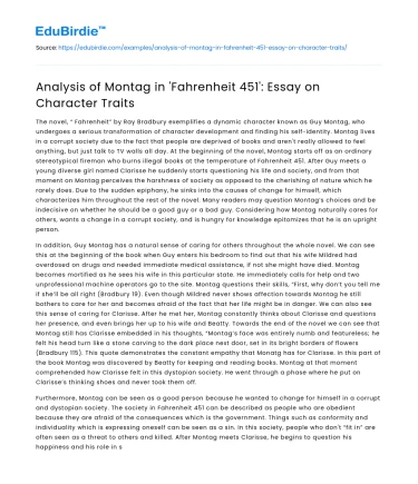 Analysis of Montag in ‘Fahrenheit 451’: Essay on Character Traits