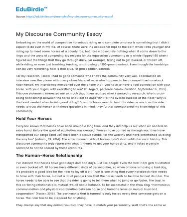 My Discourse Community Essay