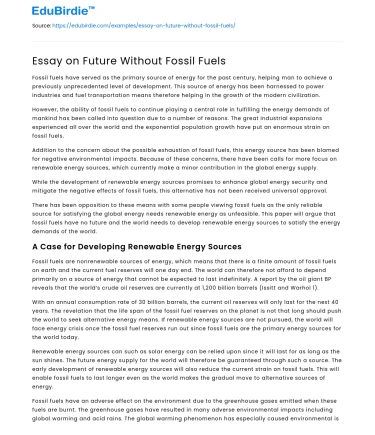 Essay on Future Without Fossil Fuels