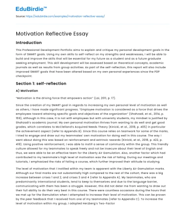 Motivation Reflective Essay