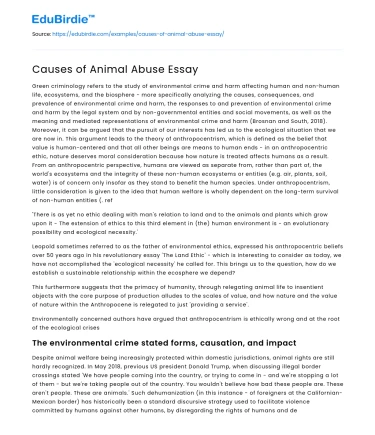 Causes of Animal Abuse Essay