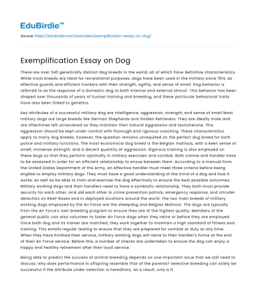 Exemplification Essay on Dog