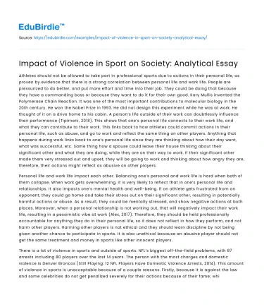 Impact of Violence in Sport on Society: Analytical Essay