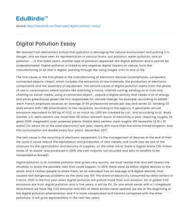 Digital Pollution Essay