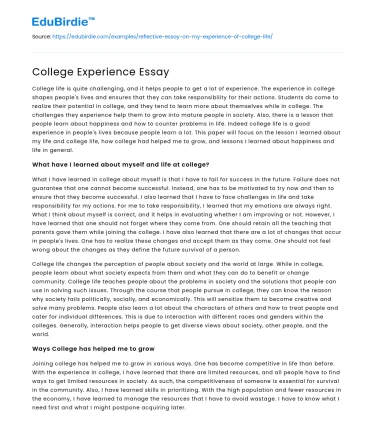 College Experience Essay