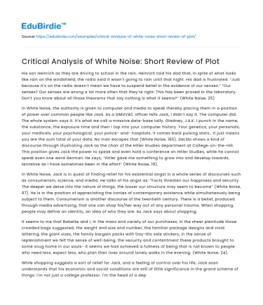 Critical Analysis of White Noise: Short Review of Plot