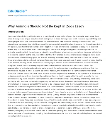 Why Animals Should Not Be Kept in Zoos Essay