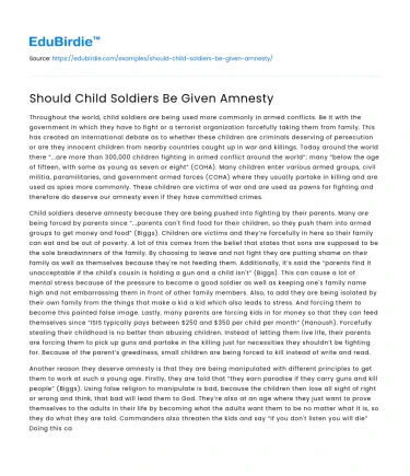 Should Child Soldiers Be Given Amnesty