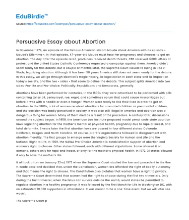 Persuasive Essay about Abortion