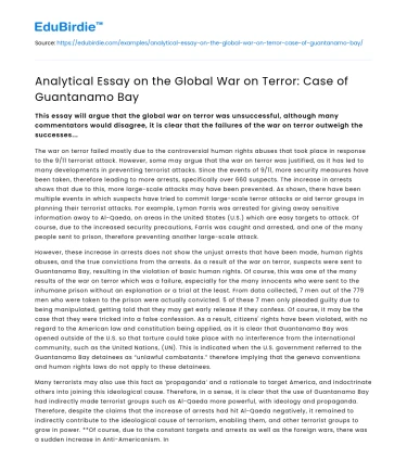 Analytical Essay on the Global War on Terror: Case of Guantanamo Bay