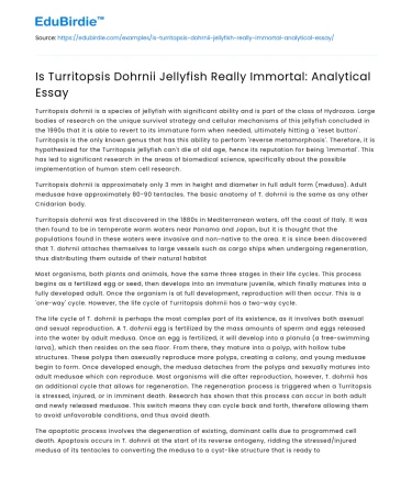 Is Turritopsis Dohrnii Jellyfish Really Immortal: Analytical Essay