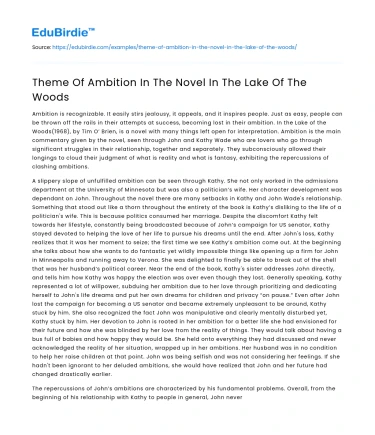 Theme Of Ambition In The Novel In The Lake Of The Woods