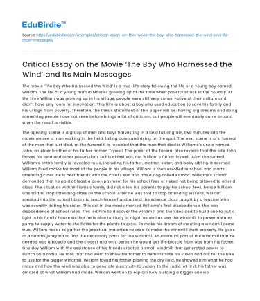 Critical Essay about a Movie ‘The Boy Who Harnessed the Wind’