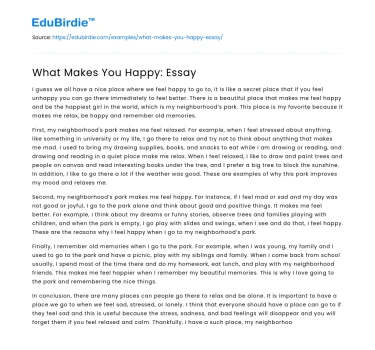 What Makes You Happy: Essay