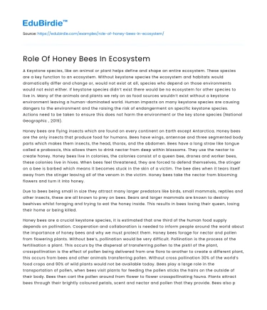 Role Of Honey Bees In Ecosystem