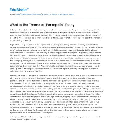 What Is the Theme of ‘Persepolis’: Essay