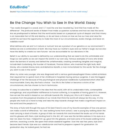 Be the Change You Wish to See in the World: Essay