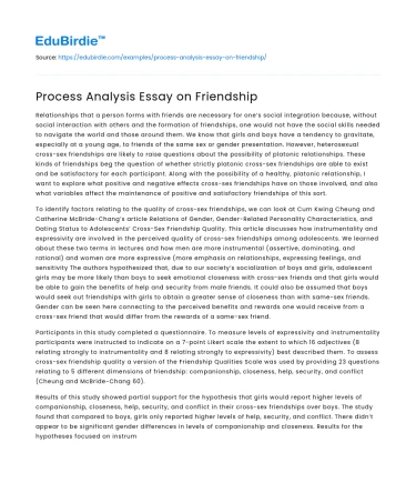 Process Analysis Essay on Friendship