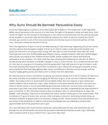 Why Guns Should Be Banned: Persuasive Essay