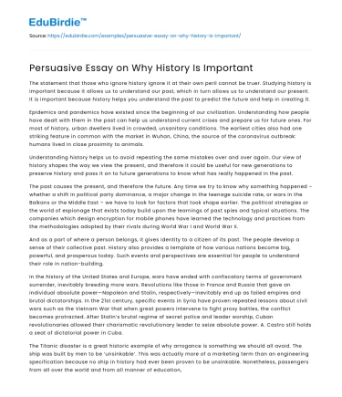 Persuasive Essay on Why History Is Important