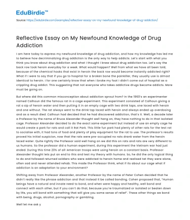 Reflective Essay on My Newfound Knowledge of Drug Addiction