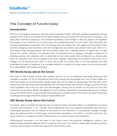 The Concept of Future Essay