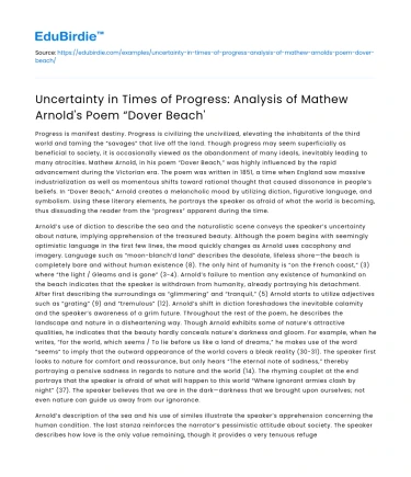 Analyzing Mathew Arnold’s “Dover Beach” Amid Uncertainty