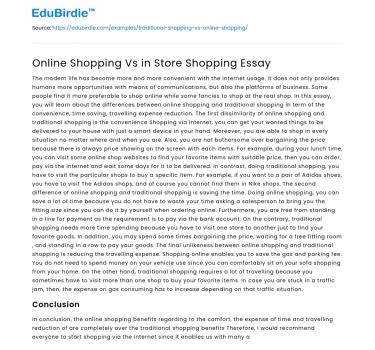 Online Shopping Vs in Store Shopping Essay