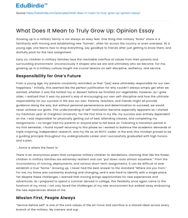What Does It Mean to Truly Grow Up: Opinion Essay