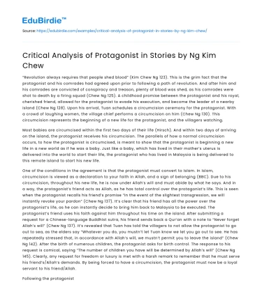 Critical Analysis of Protagonist in Stories by Ng Kim Chew