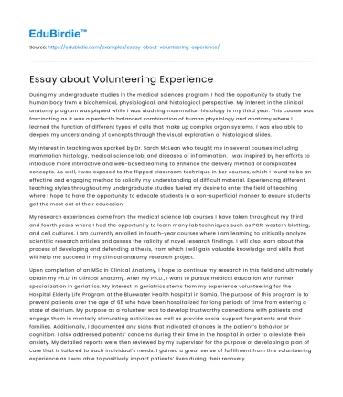 Essay about Volunteering Experience