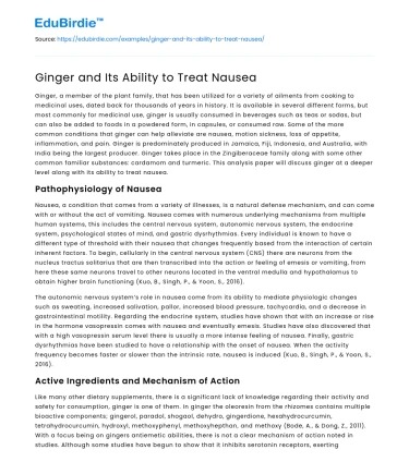 Ginger and Its Ability to Treat Nausea