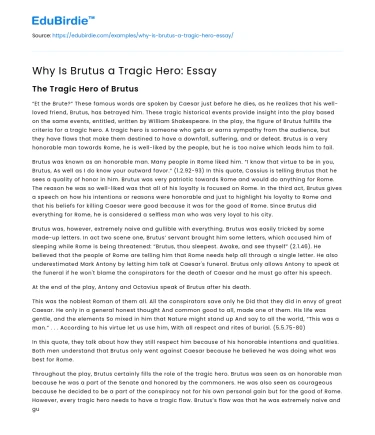 Why Is Brutus a Tragic Hero: Essay