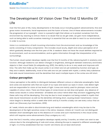 The Development Of Vision Over The First 12 Months Of Life