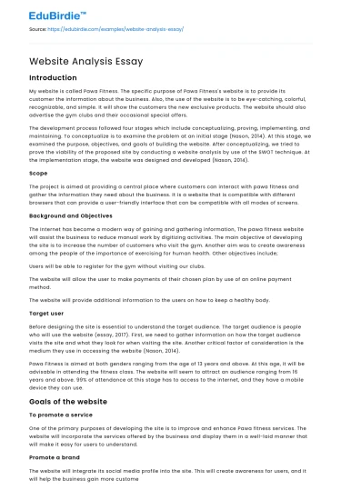 Website Analysis Essay