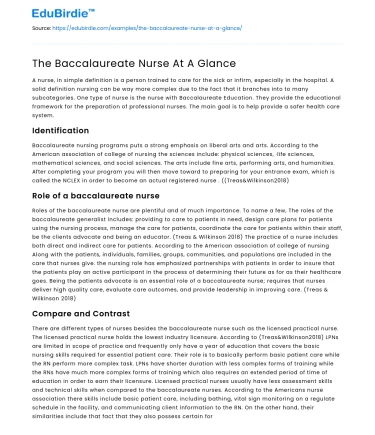 The Baccalaureate Nurse At A Glance